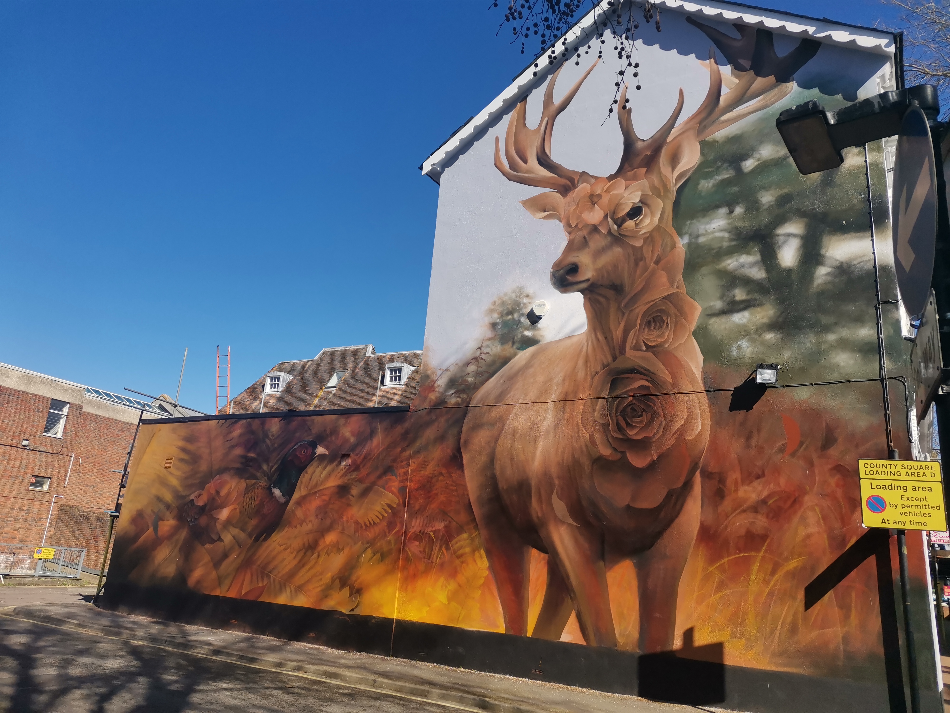 Vote for Ashford's Flamboyant Fawn in Street Art Cities 'Best in the World' awards