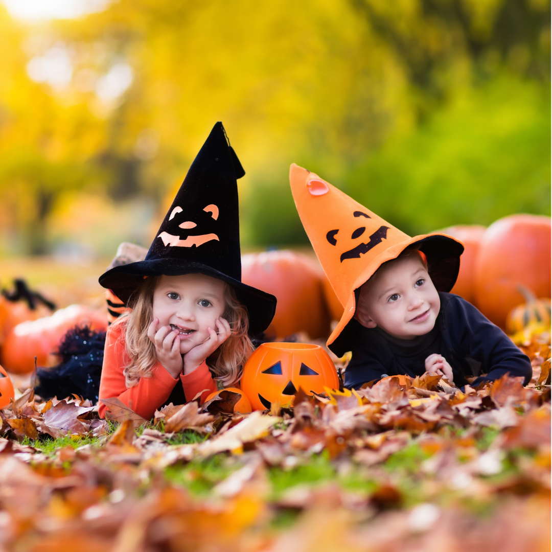 Half Term Fun this October