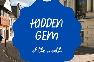 Hidden Gem of the Month - November