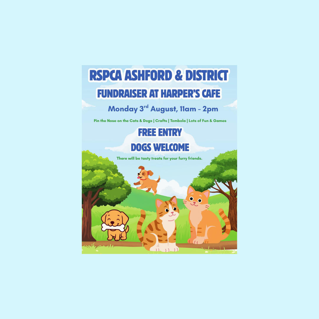 RSPCA Fundraising Day at Victoria Park
